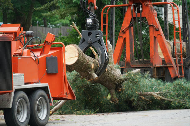 Best Tree Removal  in Fairland, MD