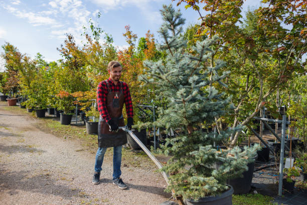 Mulching Services in Fairland, MD